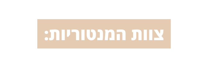 צוות המנטוריות