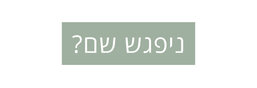 ניפגש שם